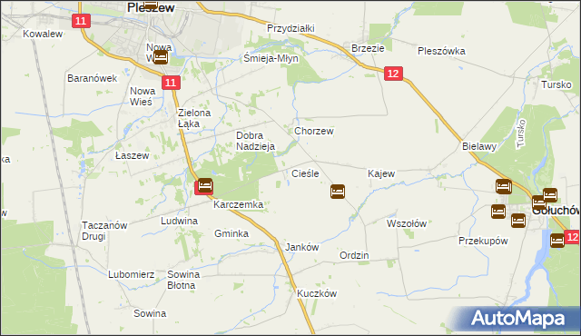 mapa Cieśle gmina Gołuchów, Cieśle gmina Gołuchów na mapie Targeo