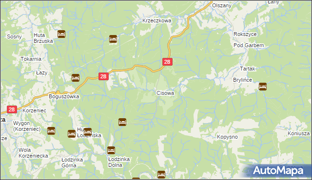 mapa Cisowa gmina Krasiczyn, Cisowa gmina Krasiczyn na mapie Targeo