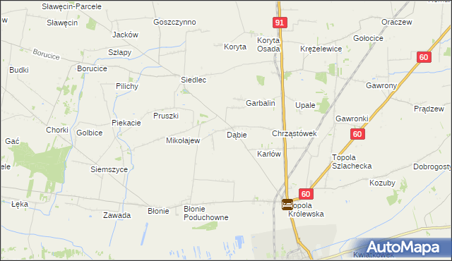 mapa Dąbie gmina Łęczyca, Dąbie gmina Łęczyca na mapie Targeo