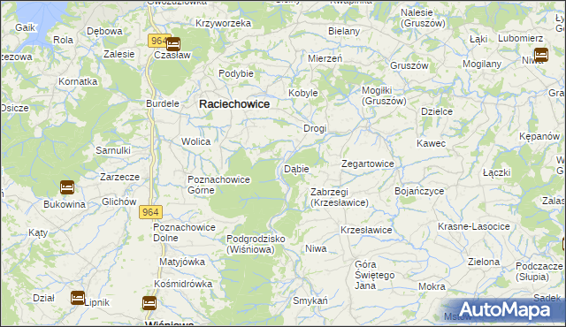 mapa Dąbie gmina Raciechowice, Dąbie gmina Raciechowice na mapie Targeo