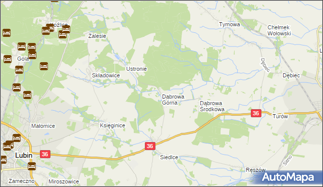 mapa Dąbrowa Górna gmina Lubin, Dąbrowa Górna gmina Lubin na mapie Targeo