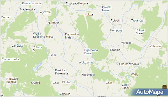mapa Dąbrowica Duża gmina Tuczna, Dąbrowica Duża gmina Tuczna na mapie Targeo
