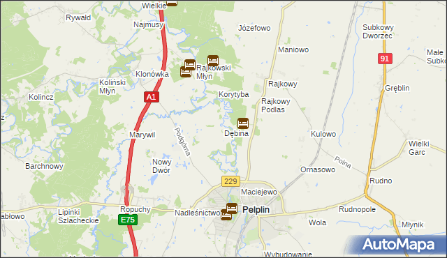 mapa Dębina gmina Pelplin, Dębina gmina Pelplin na mapie Targeo