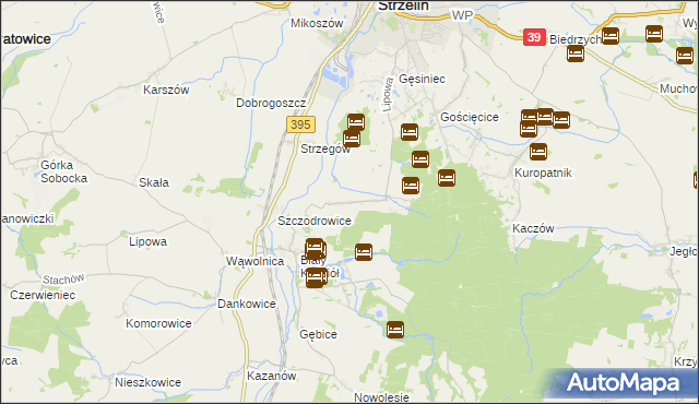 mapa Dębniki gmina Strzelin, Dębniki gmina Strzelin na mapie Targeo