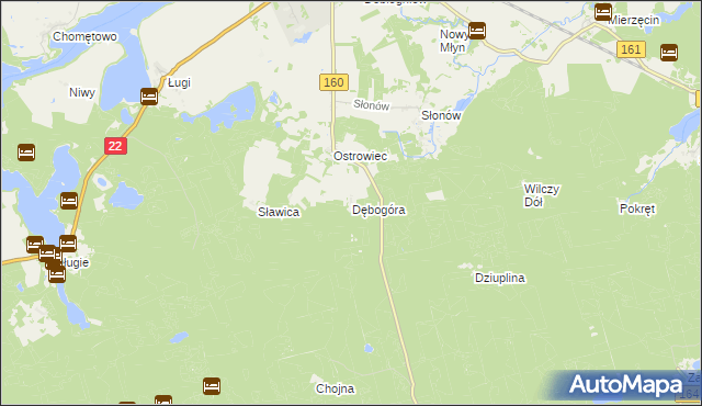 mapa Dębogóra gmina Dobiegniew, Dębogóra gmina Dobiegniew na mapie Targeo
