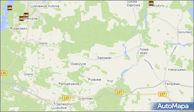 mapa Dębowiec gmina Bledzew, Dębowiec gmina Bledzew na mapie Targeo