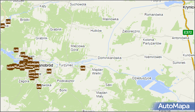 mapa Dominikanówka, Dominikanówka na mapie Targeo