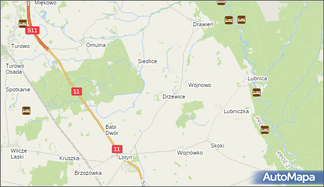 mapa Drzewice, Drzewice na mapie Targeo