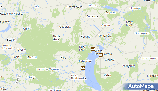 mapa Duży Las gmina Przytyk, Duży Las gmina Przytyk na mapie Targeo