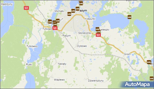 mapa Dybowo gmina Pasym, Dybowo gmina Pasym na mapie Targeo