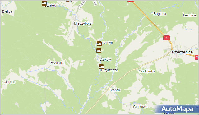 mapa Dzików gmina Rzeczenica, Dzików gmina Rzeczenica na mapie Targeo