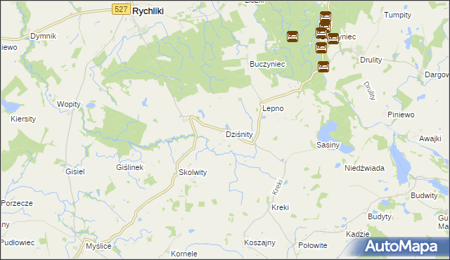 mapa Dziśnity gmina Rychliki, Dziśnity gmina Rychliki na mapie Targeo