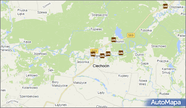 mapa Elgiszewo, Elgiszewo na mapie Targeo