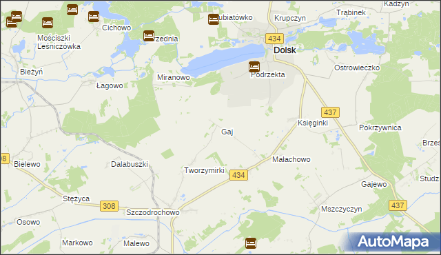 mapa Gaj gmina Gostyń, Gaj gmina Gostyń na mapie Targeo