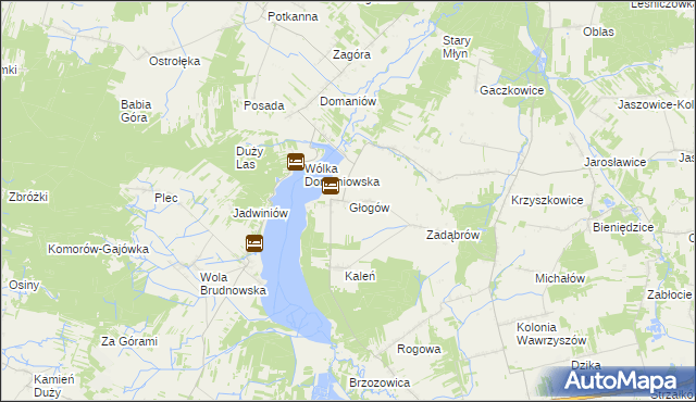 mapa Głogów gmina Wieniawa, Głogów gmina Wieniawa na mapie Targeo