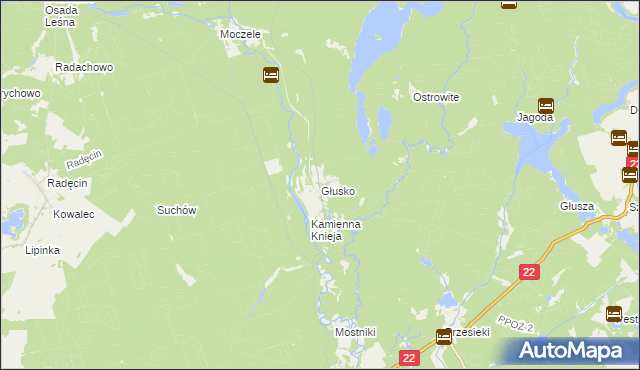 mapa Głusko, Głusko na mapie Targeo