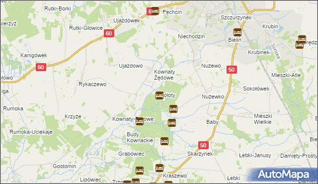 mapa Gołoty gmina Ciechanów, Gołoty gmina Ciechanów na mapie Targeo