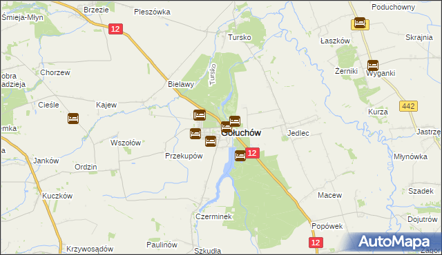 mapa Gołuchów powiat pleszewski, Gołuchów powiat pleszewski na mapie Targeo