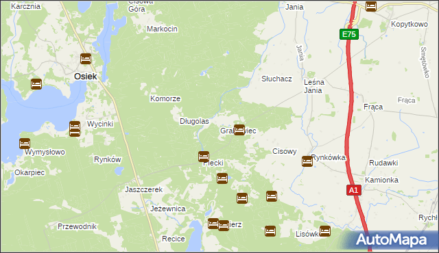 mapa Grabowiec gmina Osiek, Grabowiec gmina Osiek na mapie Targeo