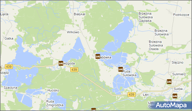 mapa Grabówka gmina Milicz, Grabówka gmina Milicz na mapie Targeo