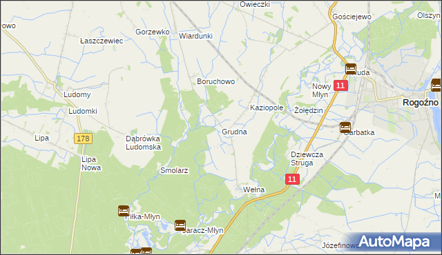 mapa Grudna gmina Rogoźno, Grudna gmina Rogoźno na mapie Targeo