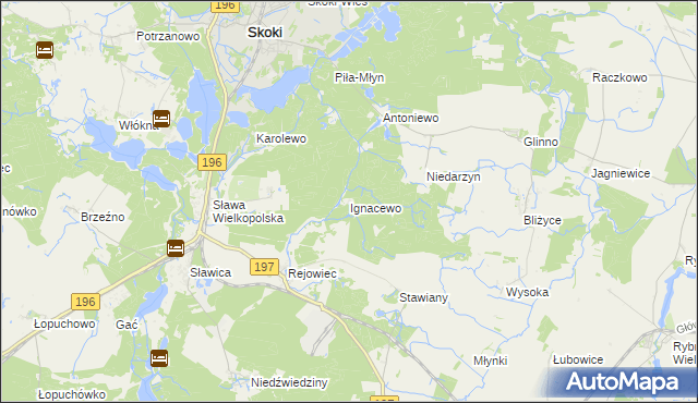 mapa Ignacewo gmina Skoki, Ignacewo gmina Skoki na mapie Targeo