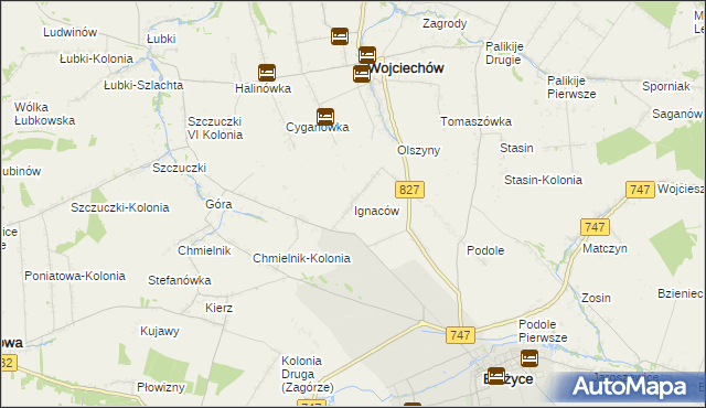 mapa Ignaców gmina Wojciechów, Ignaców gmina Wojciechów na mapie Targeo