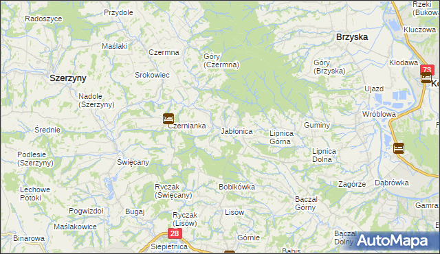 mapa Jabłonica gmina Skołyszyn, Jabłonica gmina Skołyszyn na mapie Targeo