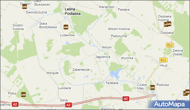 mapa Jagodnica gmina Leśna Podlaska, Jagodnica gmina Leśna Podlaska na mapie Targeo