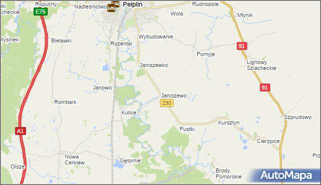 mapa Janiszewo gmina Pelplin, Janiszewo gmina Pelplin na mapie Targeo
