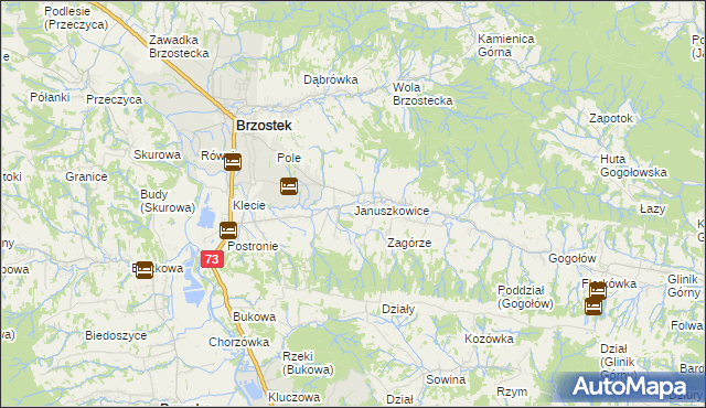 mapa Januszkowice gmina Brzostek, Januszkowice gmina Brzostek na mapie Targeo