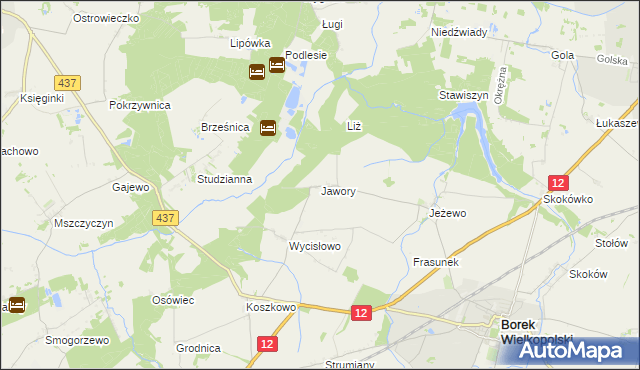 mapa Jawory gmina Borek Wielkopolski, Jawory gmina Borek Wielkopolski na mapie Targeo