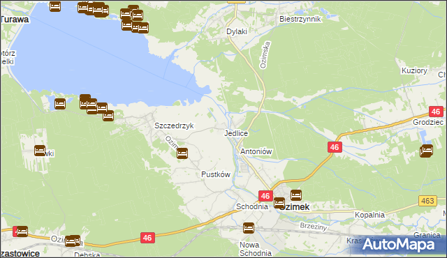 mapa Jedlice gmina Ozimek, Jedlice gmina Ozimek na mapie Targeo