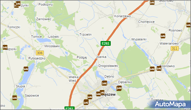 mapa Joanka gmina Dopiewo, Joanka gmina Dopiewo na mapie Targeo