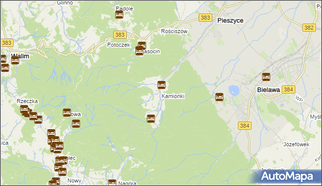 mapa Kamionki gmina Pieszyce, Kamionki gmina Pieszyce na mapie Targeo