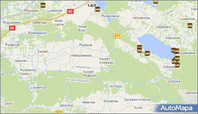 mapa Korzeń Królewski, Korzeń Królewski na mapie Targeo