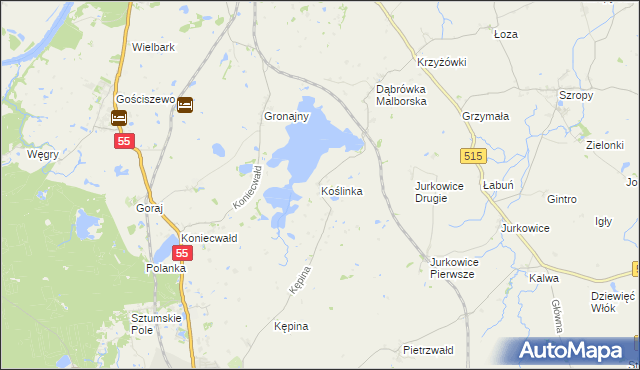 mapa Koślinka gmina Sztum, Koślinka gmina Sztum na mapie Targeo