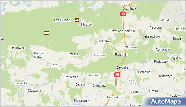mapa Kostrzyn gmina Wyśmierzyce, Kostrzyn gmina Wyśmierzyce na mapie Targeo