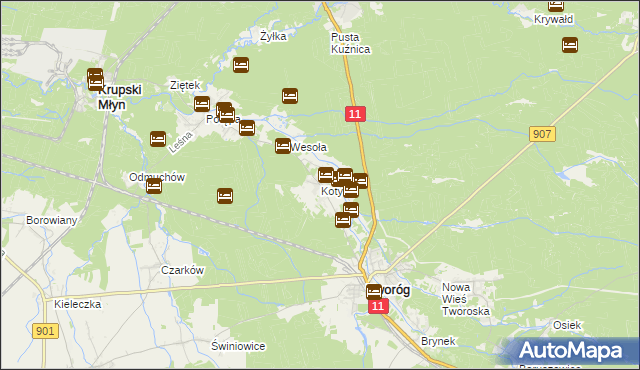 mapa Koty gmina Tworóg, Koty gmina Tworóg na mapie Targeo