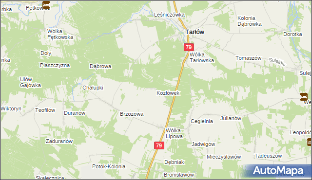mapa Kozłówek gmina Tarłów, Kozłówek gmina Tarłów na mapie Targeo