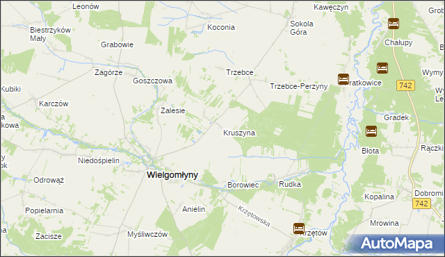 mapa Kruszyna gmina Wielgomłyny, Kruszyna gmina Wielgomłyny na mapie Targeo