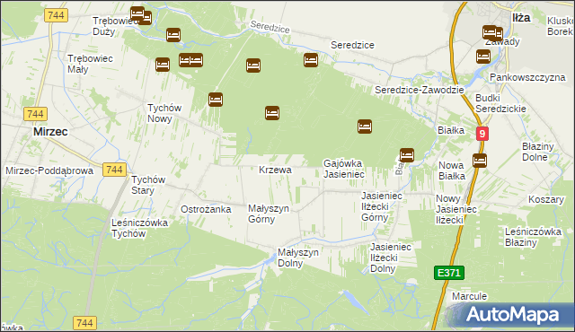 mapa Krzewa gmina Mirzec, Krzewa gmina Mirzec na mapie Targeo