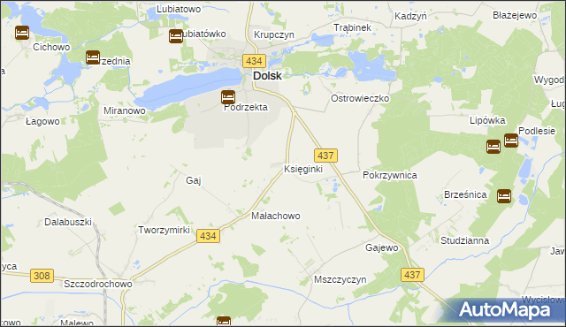 mapa Księginki gmina Dolsk, Księginki gmina Dolsk na mapie Targeo