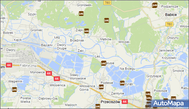 mapa Las gmina Przeciszów, Las gmina Przeciszów na mapie Targeo