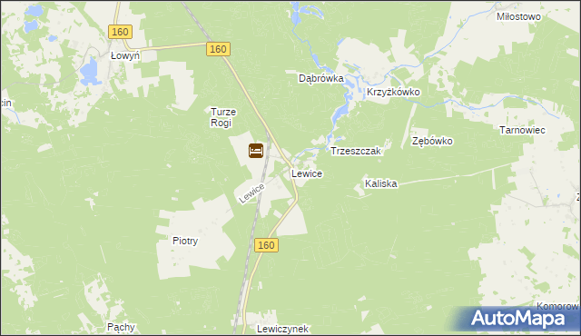 mapa Lewice gmina Międzychód, Lewice gmina Międzychód na mapie Targeo