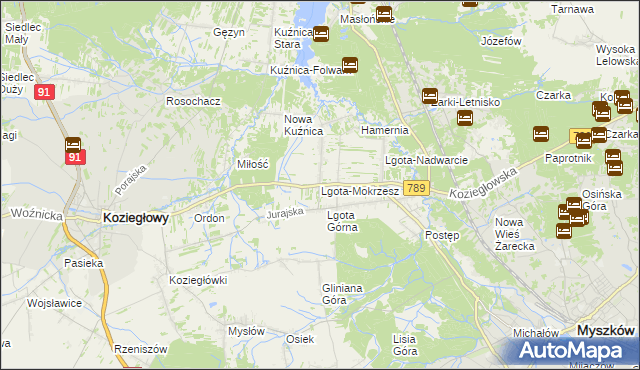 mapa Lgota-Mokrzesz, Lgota-Mokrzesz na mapie Targeo