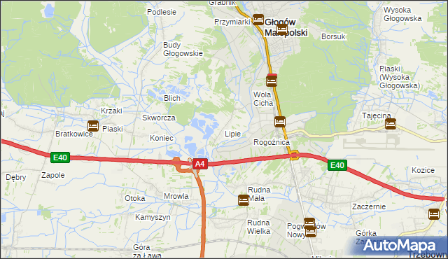 mapa Lipie gmina Głogów Małopolski, Lipie gmina Głogów Małopolski na mapie Targeo