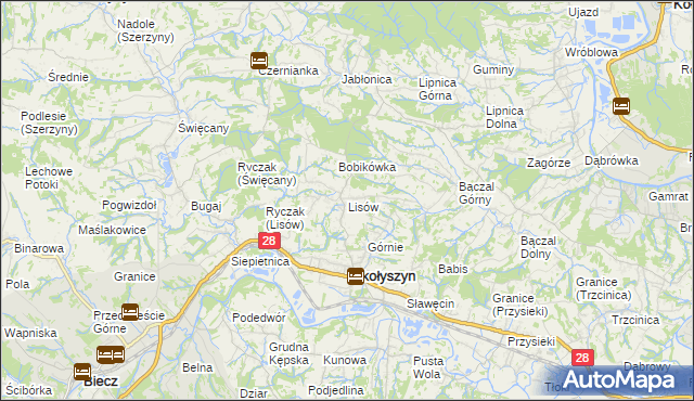 mapa Lisów gmina Skołyszyn, Lisów gmina Skołyszyn na mapie Targeo