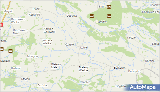 mapa Lubiel, Lubiel na mapie Targeo