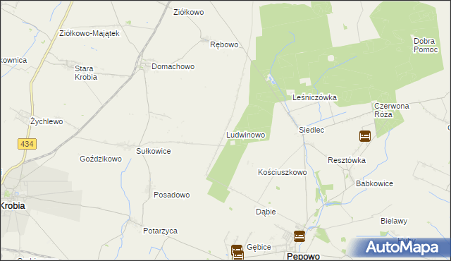 mapa Ludwinowo gmina Pępowo, Ludwinowo gmina Pępowo na mapie Targeo